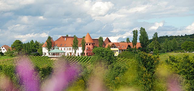 Weingut Thaller