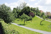 Groansicht Augustinerbastei